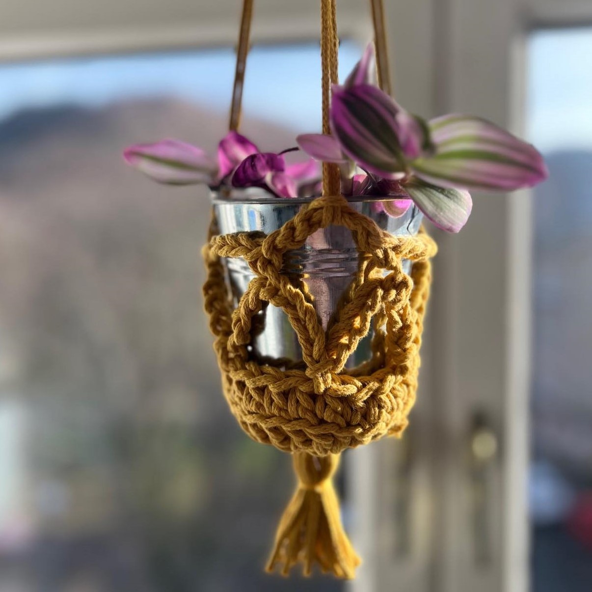 plant hanger